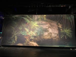 A printed cloth of a forest foliage around large boulder