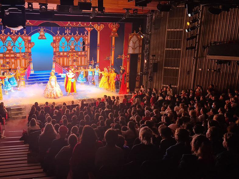 The audience enjoying a performance of pantomime.