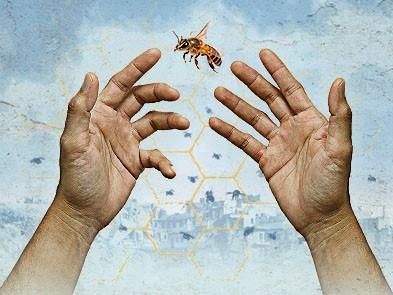 A pair of hands raised up with a bee flying in the background